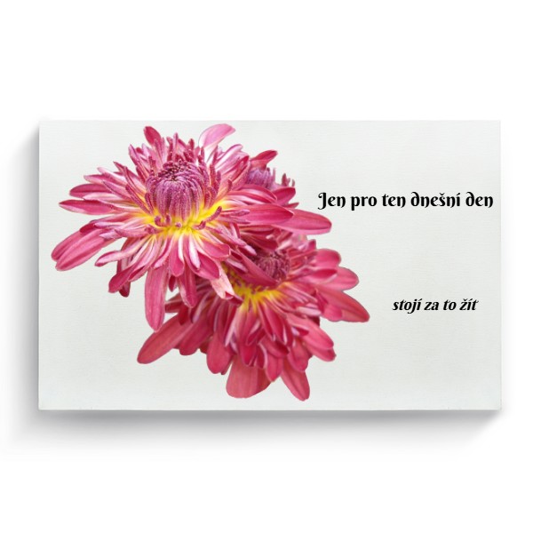 Photo Canvas 3:2 s potiskem Just for today